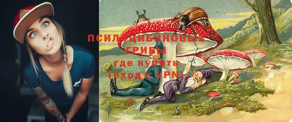молекула духа Алексеевка