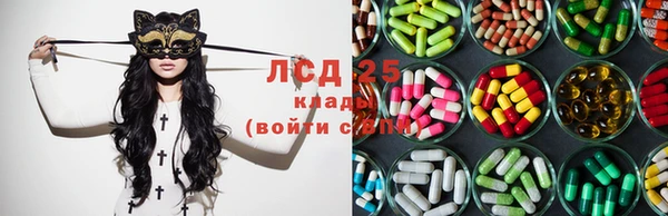 PSILOCYBIN Алексин